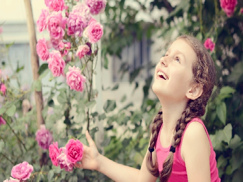 孕酮贴什么试管，试管婴儿费用优秀北京家圆i